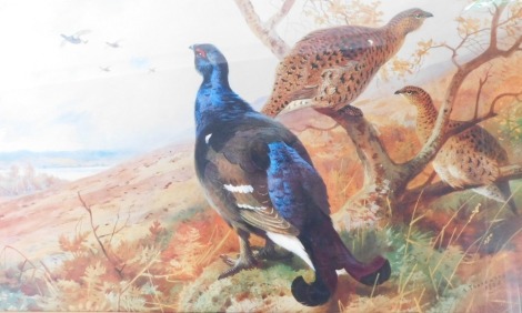 After Archibald Thorburn. Pheasant and grouse, print, copyright 1986, 31cm x 47cm.