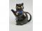 A Wood & Sons novelty teapot in the form of a black cat