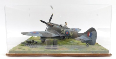 A diorama model of a Westland Whirlwind aircraft, 1:32 scale, in perspex case, 20cm high, 39cm wide, 38cm deep. - 4