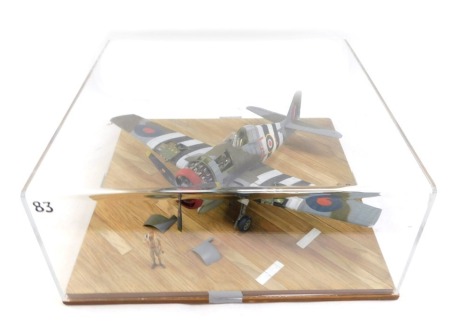 A diorama model of a Hawker Tempest, for JB131, 1:32 scale, in Perspex case, 22cm high, 51cm wide, 51cm deep.