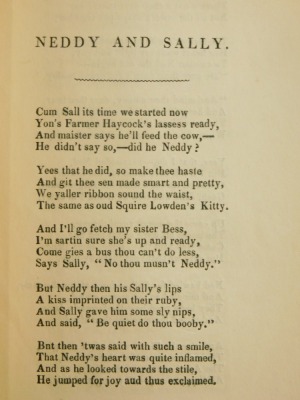 (Brown) John. Neddy and Sally, or the Statues Day, A Lincolnshire Tale, Leary printing, 20 The Strait, Lincoln, paperback. - 3