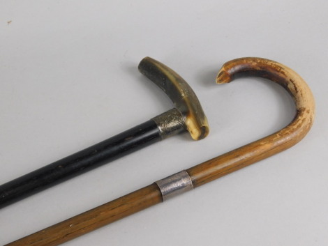 Two late 19th/early 20thC walking sticks