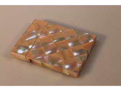 A 19thC Mother of Pearl rectangular inlaid card case