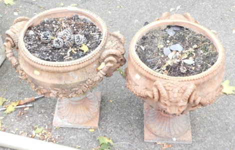 A pair of terracotta coloured urns, each with ram handle and vine swigs, on a square foot, 50cm high, 33cm wide. (AF)