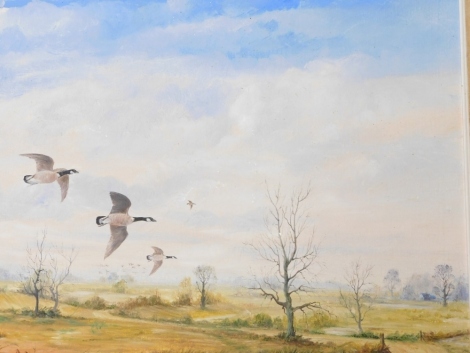 R. Donaldson (20thC). Canadian Geese in flight above a landscape, oil on canvas, signed, 40cm x 50cm.