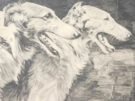 Tom Graham (1840-1906). Russian Borzois dogs, etching, 16cm x 20cm.