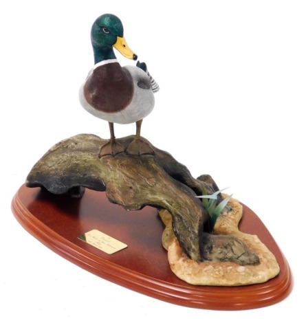 A Border Fine Arts sculpture of a mallard, Water Fowl of the World, designed by Don Briddell, A0477, on a wooden base with brass presentation plaque.