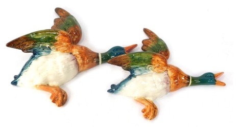 Two graduated Beswick Mallard duck wall plaques, 596-0 and 596-1. (AF)