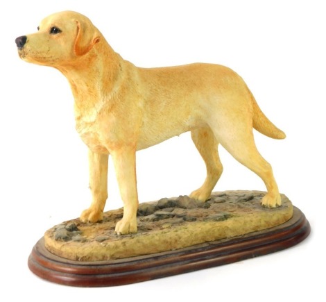 A Border Fine Arts Yellow Labrador standing figure, A3092, on wooden plinth, boxed, 22cm high.