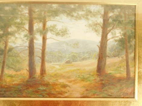 Albert Starling (20thC School). At Seal Chart near Sevenoaks, oil, signed, 23cm x 34cm, framed and glazed.