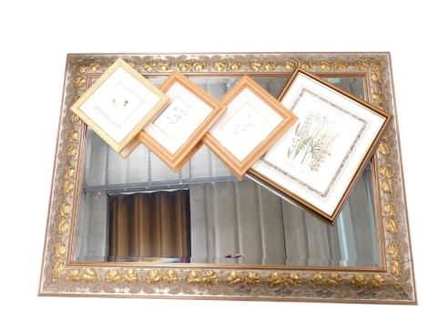 A large rectangular hanging mirror, raised with shells and scrolls, various botanical prints, 28cm x 22cm, etc. (a quantity)