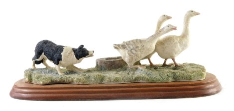 A Border Fine Arts Ayres figure group, sheep dog and ducks, signed, on wooden plinth base, 29cm wide.