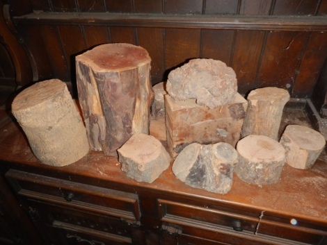 Lignum vitae and other specimen wood samples.