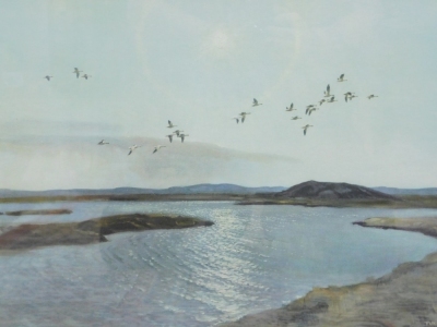 Peter Scott (1909-1989). Birds in flight over calm waters, artist signed print, 35cm x 51cm.