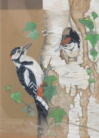 Jennifer A. Bell (20thC). Woodpeckers on a tree trunk, gouache, signed and dated 1997, 29cm x 21cm.