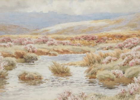 William Widgery (1820-1893). Stream before hills with clouds gathering, watercolour, typed attribution verso, 14cm x 23cm.