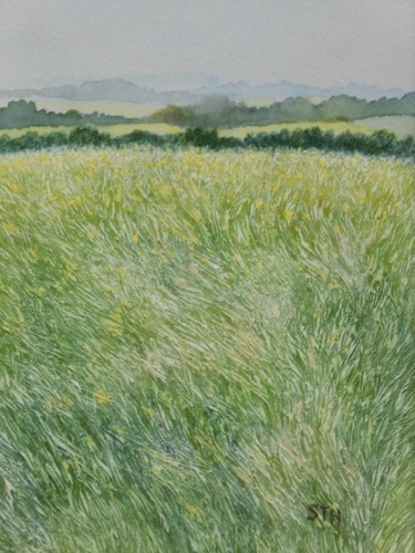 •Sue Henry (20thC). Rippington Field, watercolour, initialled, 17cm x 12cm.