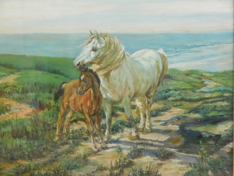 20thC School. Horse and foal on grass before sea, oil on board, unsigned, 37cm x 50cm.