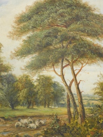 Constance Dickens (fl.1899). Sheep on a path with tree in the foreground, further trees in the distance, oil on canvas, signed and dated, 60cm x 43cm.