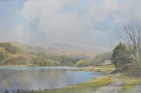 Peter Shutt (1926-2016). Autumn Around Rydal Water, pastel, signed, titled with printed document verso, 24cm x 35cm.