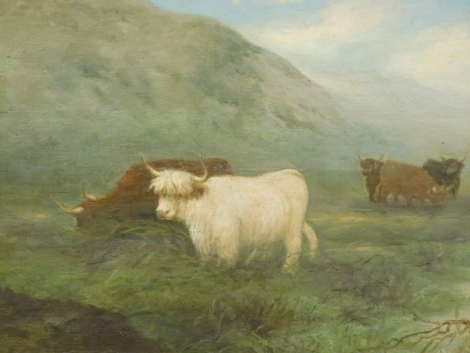 Charles Duncan (19thC). Highland cattle in marsh and mist, oil on canvas, signed, titled verso to the canvas, 41cm x 50cm.