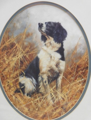 After Trickett. Gun dog in a clearing, print, 34cm x 27cm.