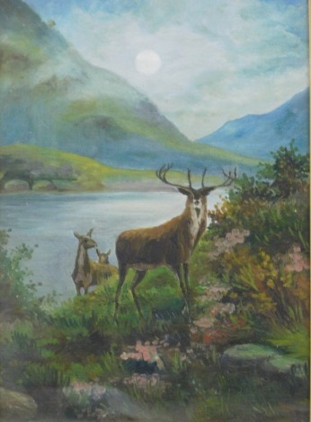 19thC School. Stag and Hind, Scottish landscape, oil on canvas, unsigned, 34cm x 25cm.