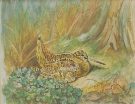 D. Harrington (20thC). Woodcock and chick in a forest landscape, watercolour, signed, attributed verso, 12cm x 15cm.