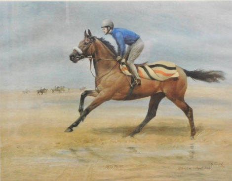 Susan L. Crawford (b.1941). Red Rum, artist signed limited edition print no. 454, 23cm x 54cm.