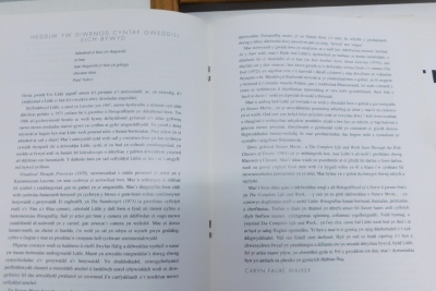 Ors Luthl Neue Galeri 1992 and other brochures, Ors Luthl,The Complete Life and Work paperback, mixed media picture and two others, Parker (Corlenia) Avoided Object, etc. (a quantity) - 6