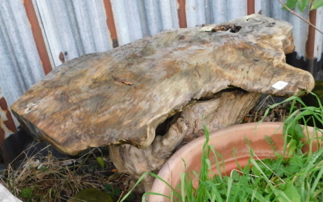 A teak root table, 50cm high, the top 94cm x 54cm. Note: VAT is payable on the hammer price of this lot at 20%.