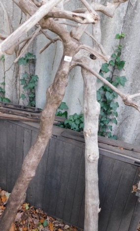 Two driftwood tree sculptures, on shaped bases, approx 117cm high. Note: VAT is payable on the hammer price of this lot at 20%.