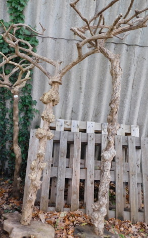 Three driftwood tree sculptures, on shaped bases, the tallest approx 210cm high. Note: VAT is payable on the hammer price of this lot at 20%.