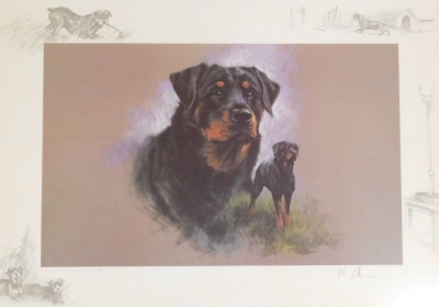 Various pictures, prints, etc., to include after Cecil Aldin, four works, depicting hunting scenes, each 25cm x 34cm, framed, 19cm x 24cm, study of a Rottweiler, indistinctly signed, limited edition print number 194, 30cm x 48cm, etc. - 2