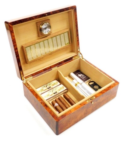 A Hillwood makah burl wood cigar humidor, containing assorted cigars, 30cm wide.