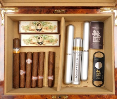 A Hillwood makah burl wood cigar humidor, containing assorted cigars, 30cm wide. - 2