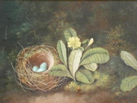 George Crisp (19th/20thC). Birds nest in naturalistic setting