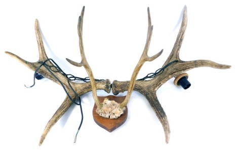 A set of mounted antlers, on shield plaque, 44cm deep, and a set of stylised antler hanging chandelier lights with two bulbs, 85cm diameter. (2)