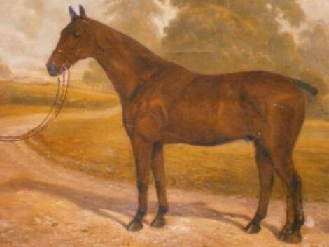 William Albert Clark (19th/20thC). Portrait of a racehorse