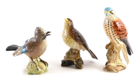 Three Beswick birds, to comprising Jay 2417, Kestrel 2316, and Thrush 2308, impressed marks beneath. (3)