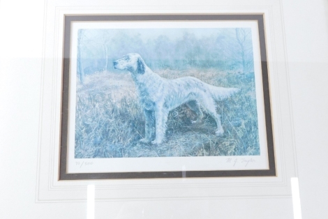 M. G. Taylor (20thC). Artist signed limited edition print number 72/500, 16cm x 21cm, gun dog print, various others, watercolours, hunting prints, golfing caricatures, watercolour landscape, etc. (a quantity)